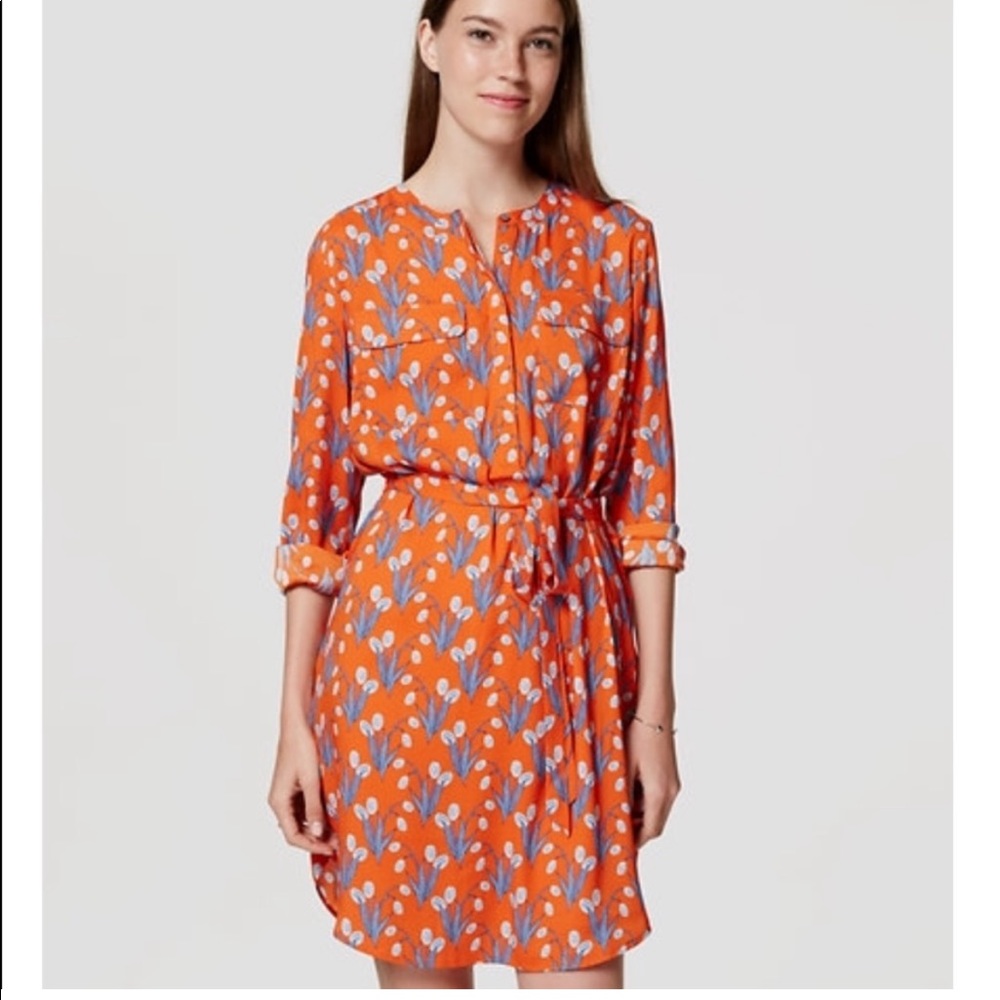Loft long sleeve Dress